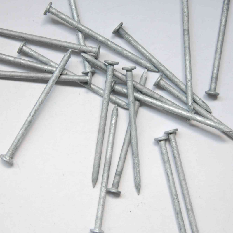 Hot-dipped Galvanized Nail
